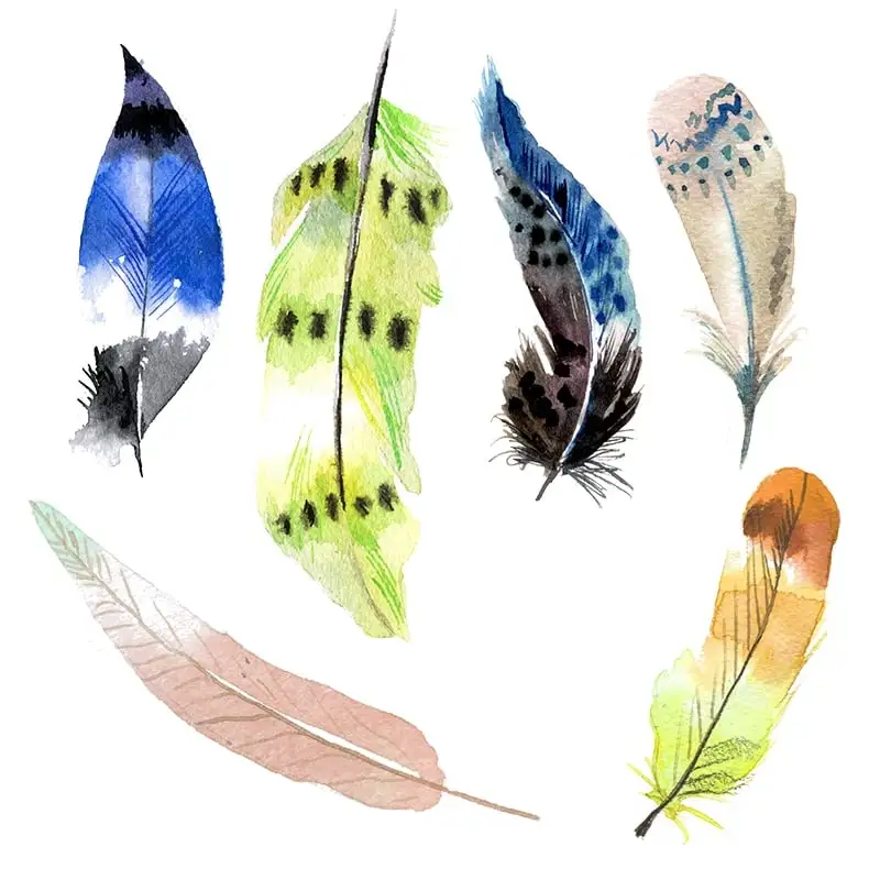 唯美手绘水彩风彩色艺术羽毛波西米亚图案PNG免扣设计素材-插画-到位啦UI