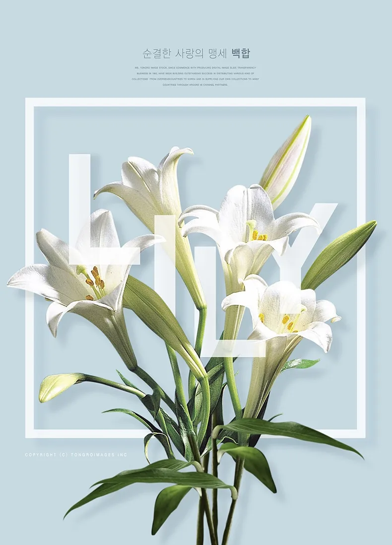 浪漫情人节花店玫瑰鲜花开业宣传单花朵插花海报PSD素材模板-海报素材-到位啦UI