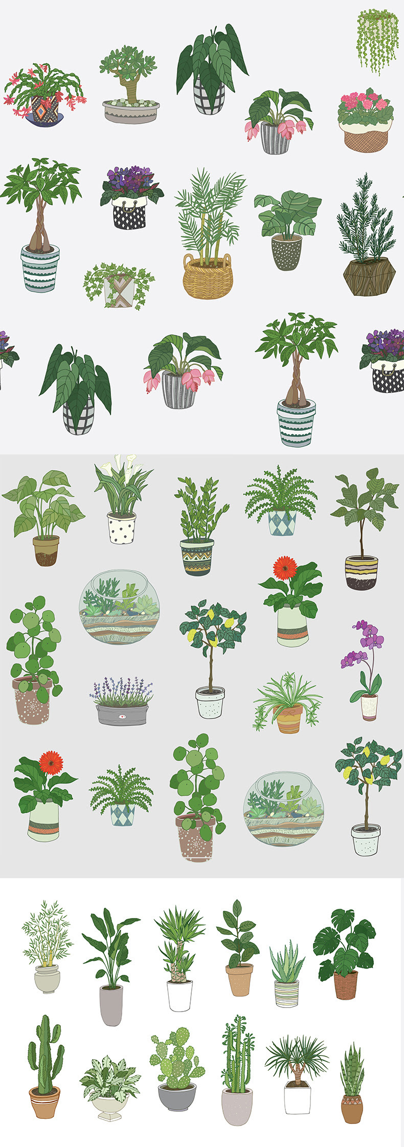 手绘平面园林绿色植物盆栽仙人掌线稿EPS矢量设计插画素材-插画-到位啦UI