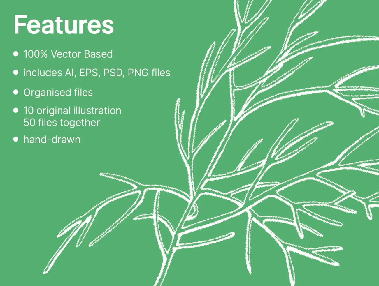 Plant Leaves Illustrations 植物叶子矢量插画-插画-到位啦UI