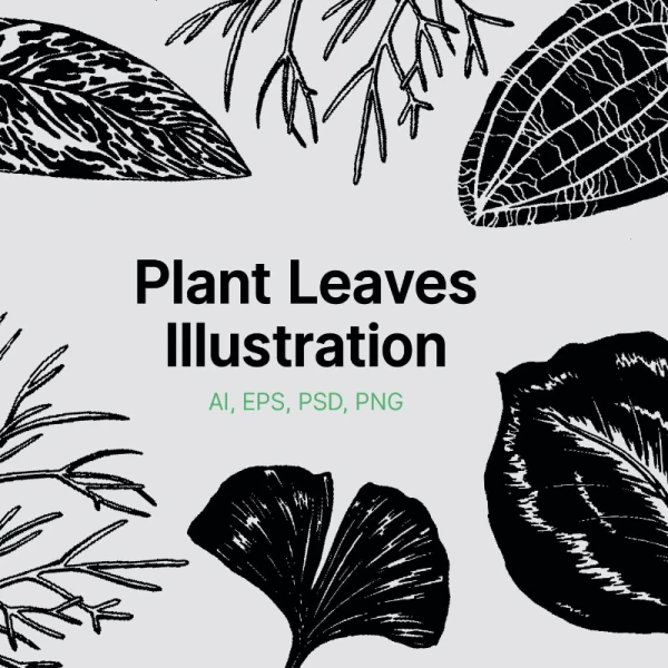 Plant Leaves Illustrations 植物叶子矢量插画
