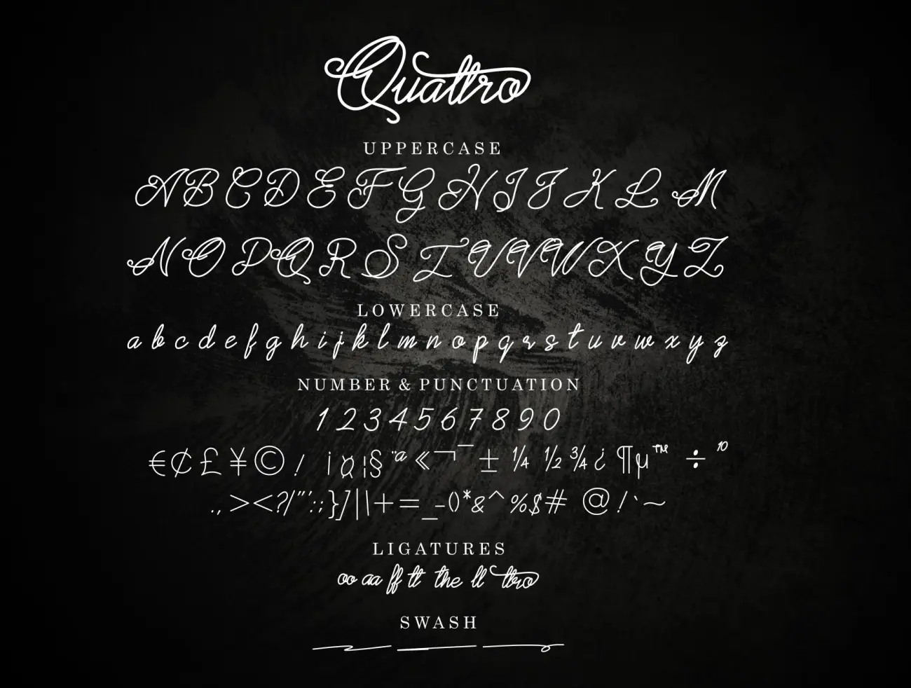 Quattro Script Font 练习花式英文手写字体-字体-到位啦UI
