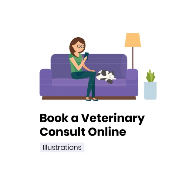 Book a Veterinary Consult Online 在线预订兽医咨询UI素材