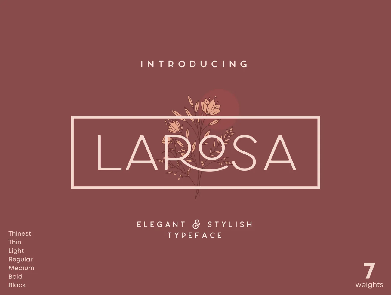 Larosa Sans Elegant Typeface 英文优雅无衬线字体-字体-到位啦UI