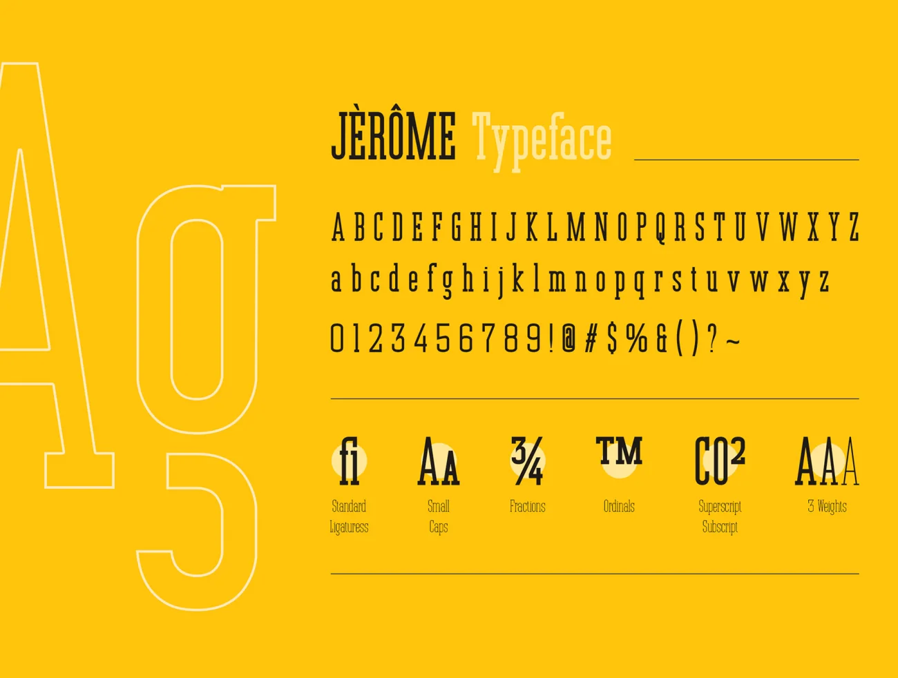 Jerome - Condensed Slab Serif 复古英文紧凑坚固而坚实的衬线字体-字体-到位啦UI