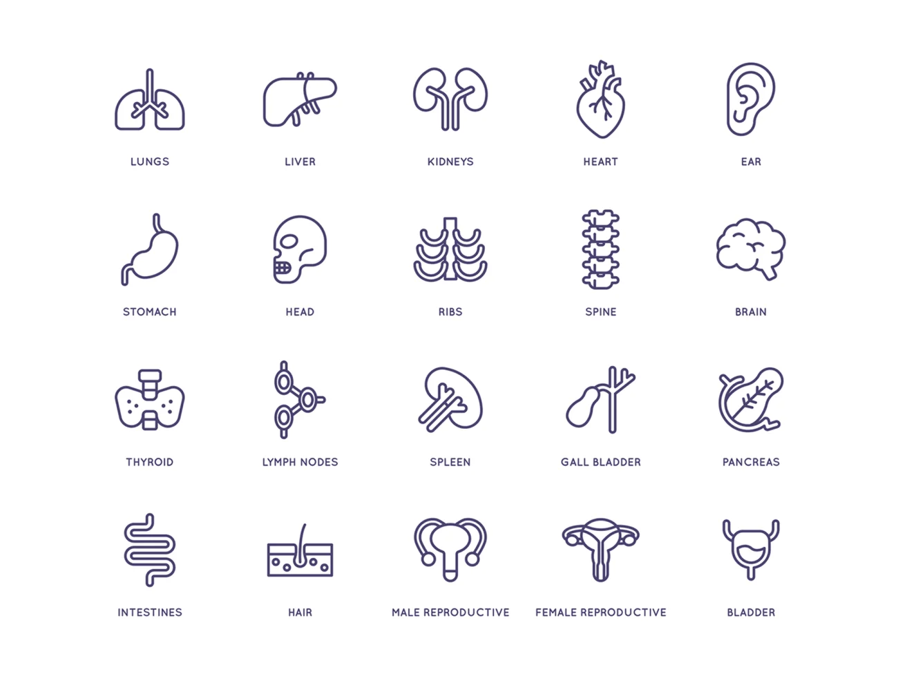 105个医疗卫生保健线性图标 105 Medical and Healthcare Icons  Line Series插图9