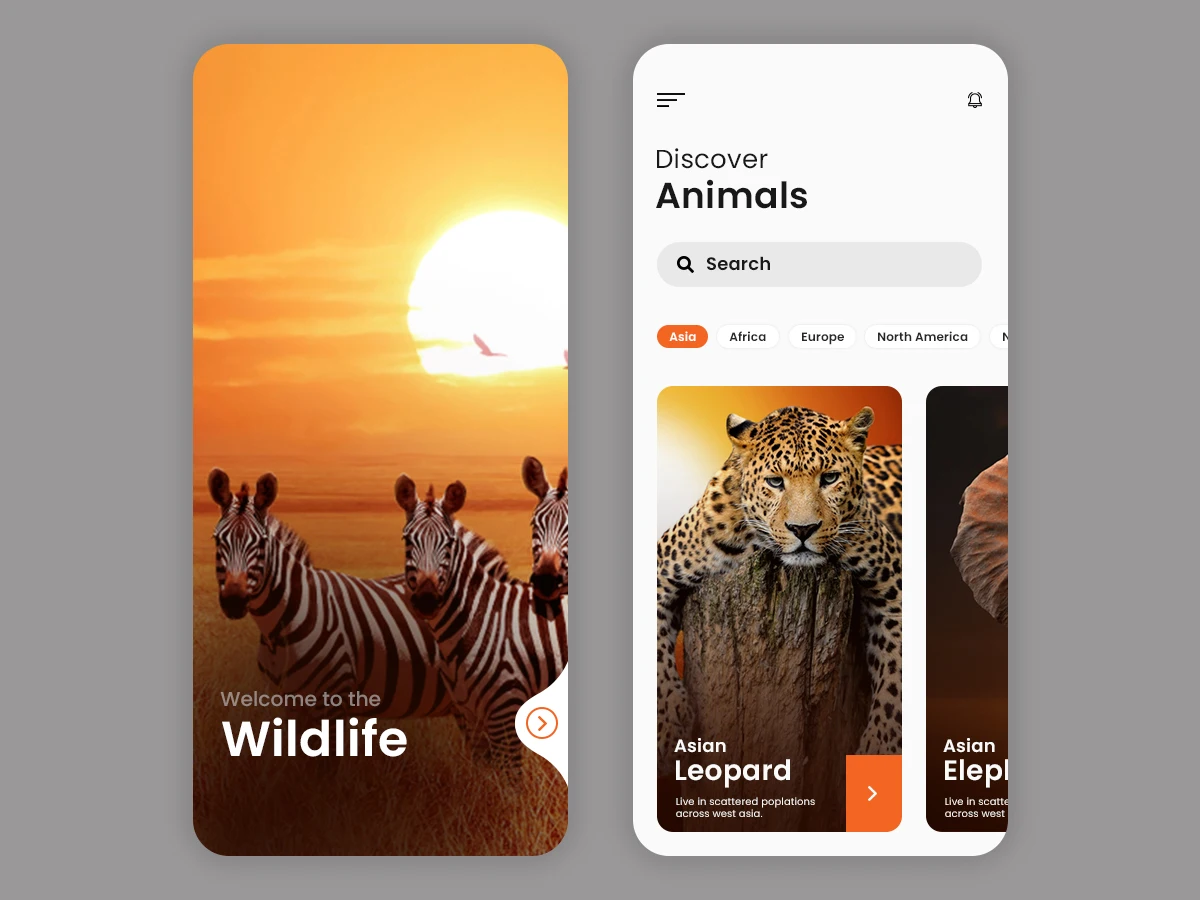 世界野生动物探索发现手机应用设计模板 wildlife app ui concept插图1