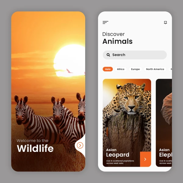 世界野生动物探索发现手机应用设计模板 wildlife app ui concept
