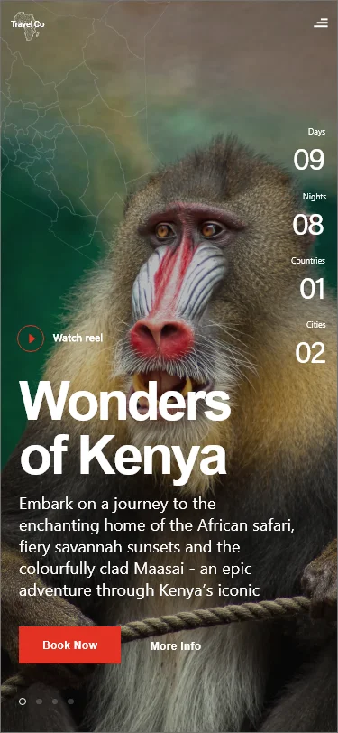 非洲旅游应用UI设计套件 africa travel app插图13