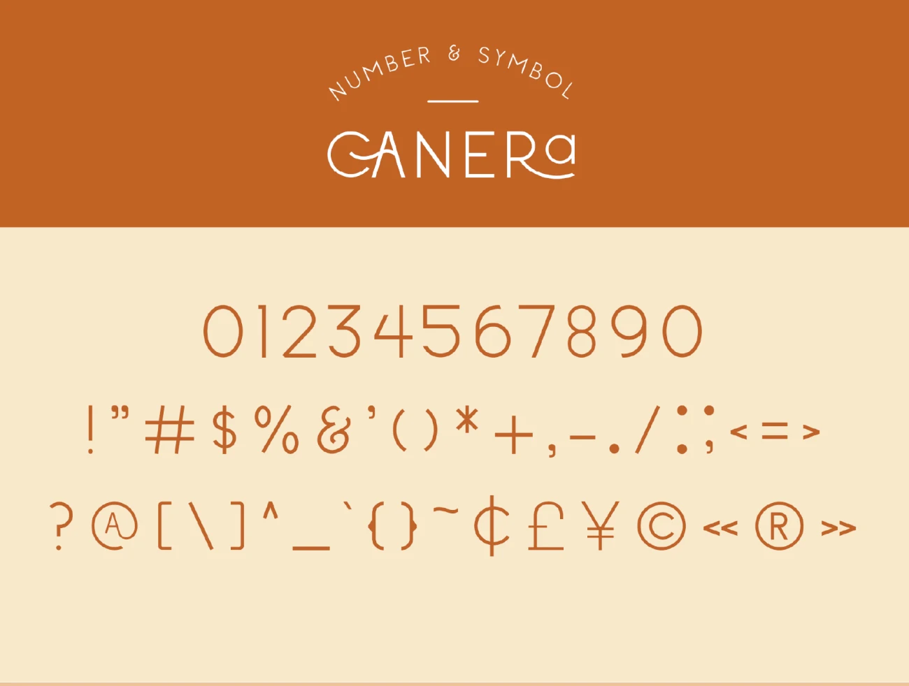 3款粗细简约优雅女性柔美英文字体 Canera – Simple Elegant Typeface插图47