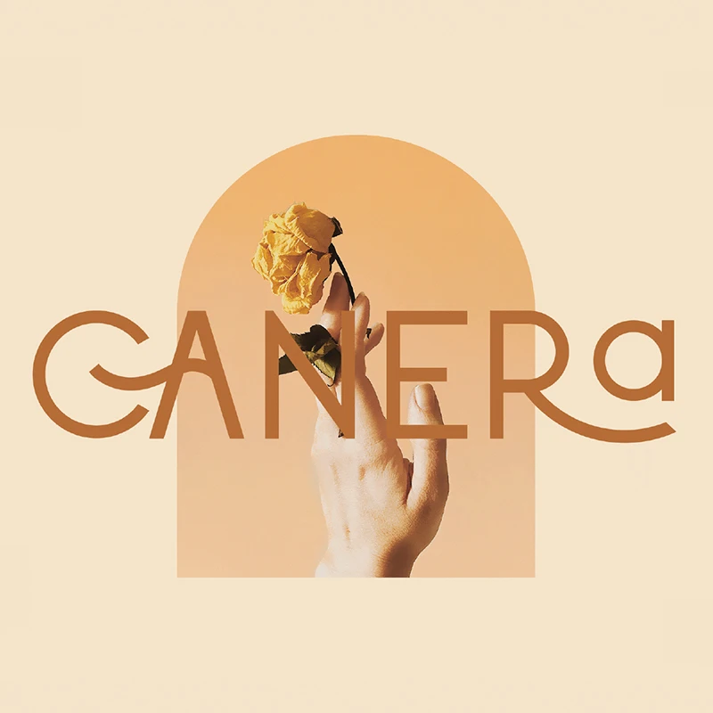 3款粗细简约优雅女性柔美英文字体 Canera – Simple Elegant Typeface插图53
