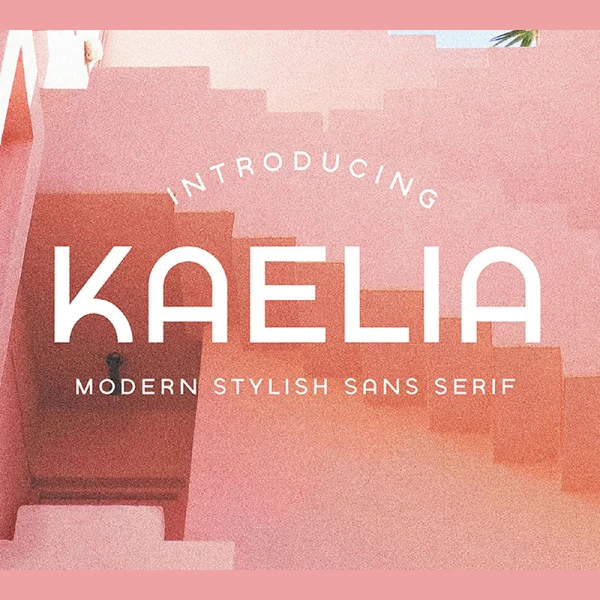 3字重简约优雅时尚英文字体集 KAELIA - Simple Stylish Typeface