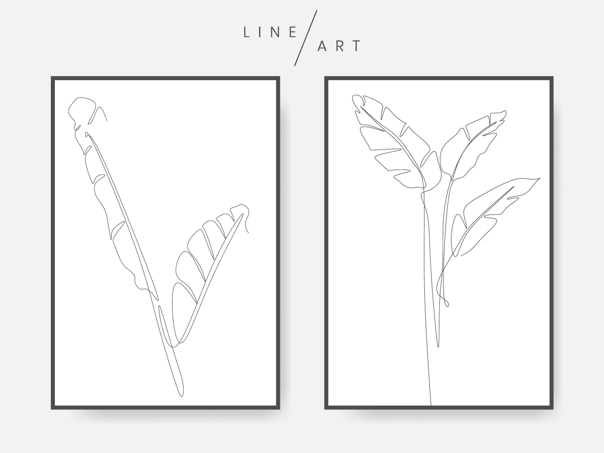 一笔画植物树叶艺术线条 banana leaves line art插图1