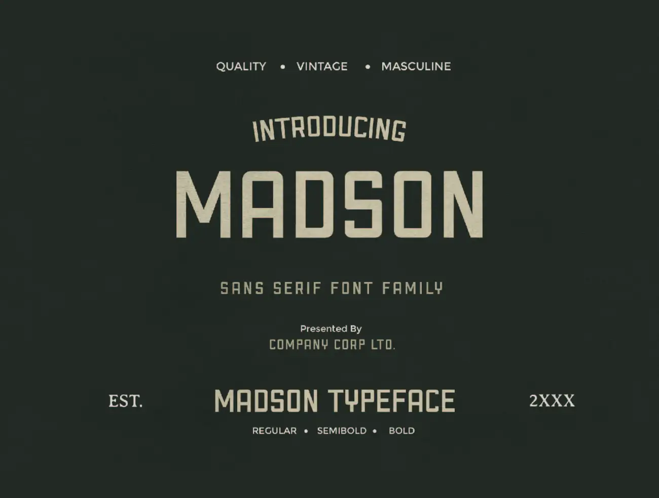 3款字重阳刚现代多语言支持西文无衬线字体 Madson – Masculine modern typeface插图27