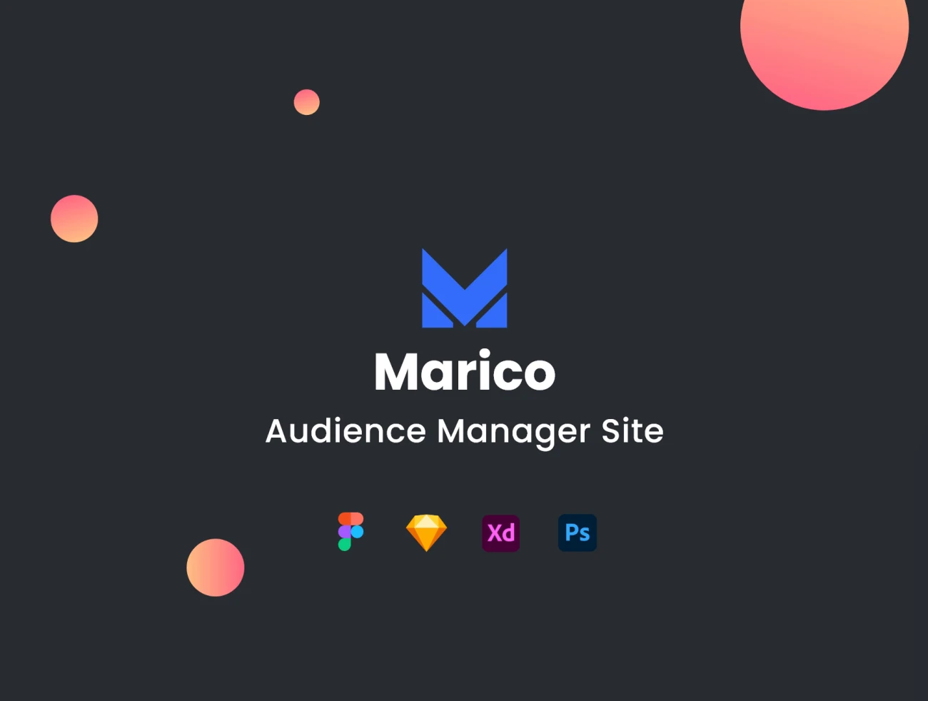 网站访客受众信息管理器网站数据收集控制分析保护平台 Marico – Audience Manager Site插图1
