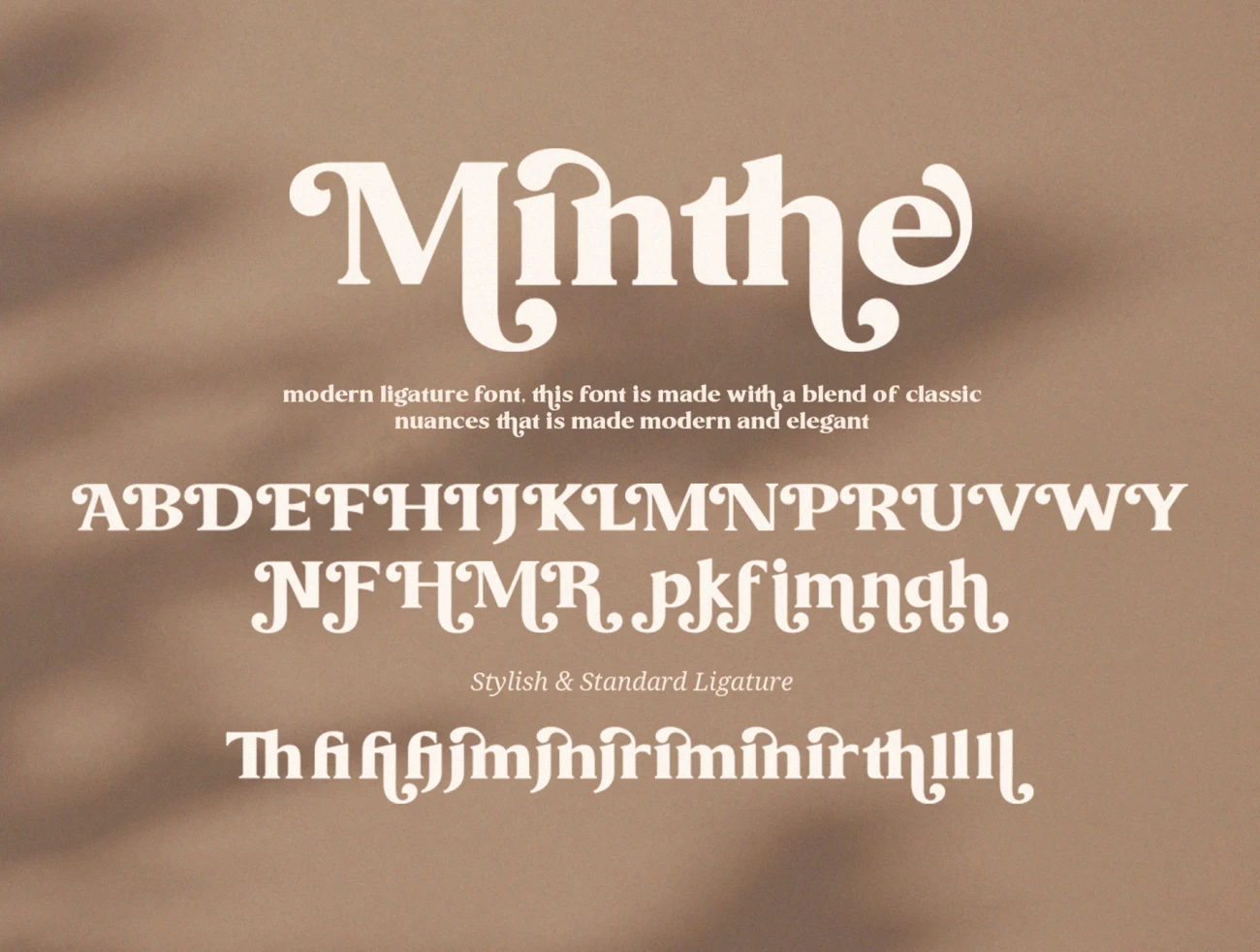 现代时尚优雅的衬线西文多语言字体 Minthe – Elegant Serif Font插图7