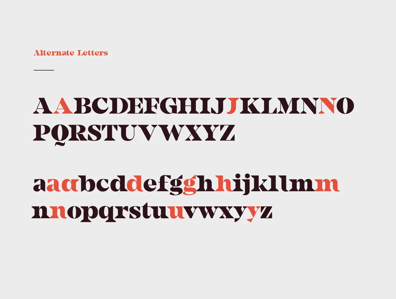Camijo 狂野有力现代英文衬线标题字体 Camijo Display Serif Font插图11