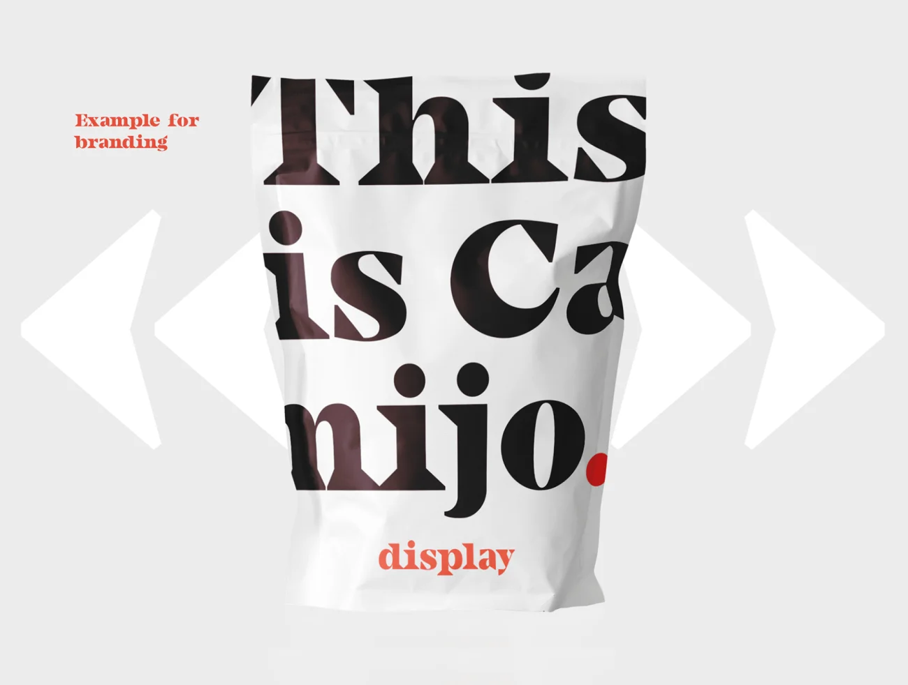 Camijo 狂野有力现代英文衬线标题字体 Camijo Display Serif Font插图13