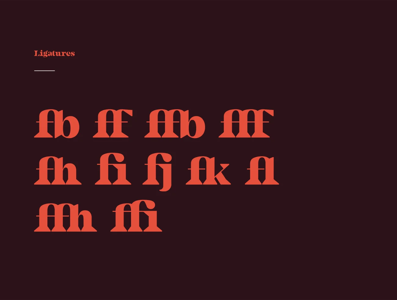 Camijo 狂野有力现代英文衬线标题字体 Camijo Display Serif Font插图15