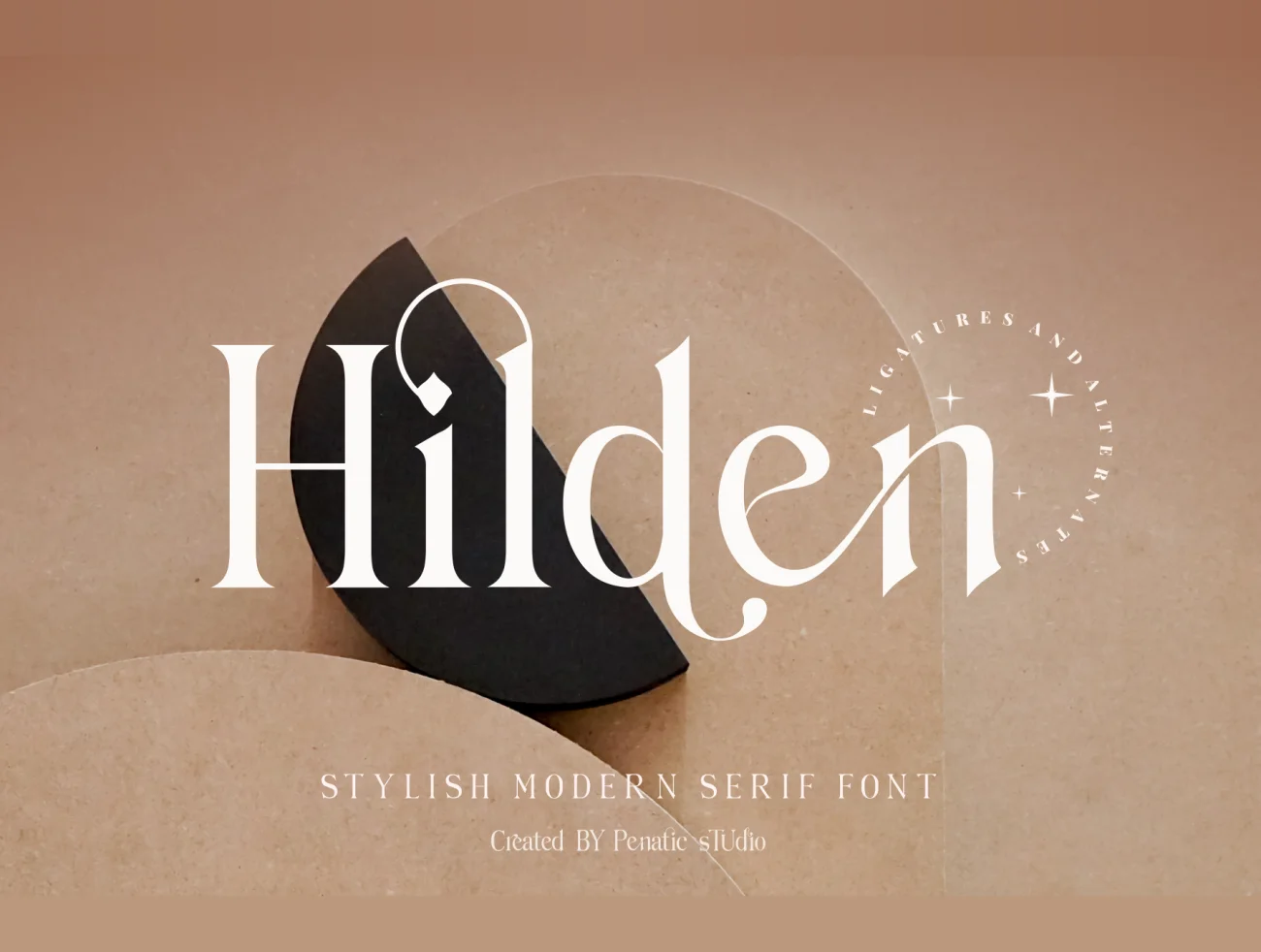 优雅时尚的现代衬线连体英文字体 Hilden – stylish modern serif font插图1