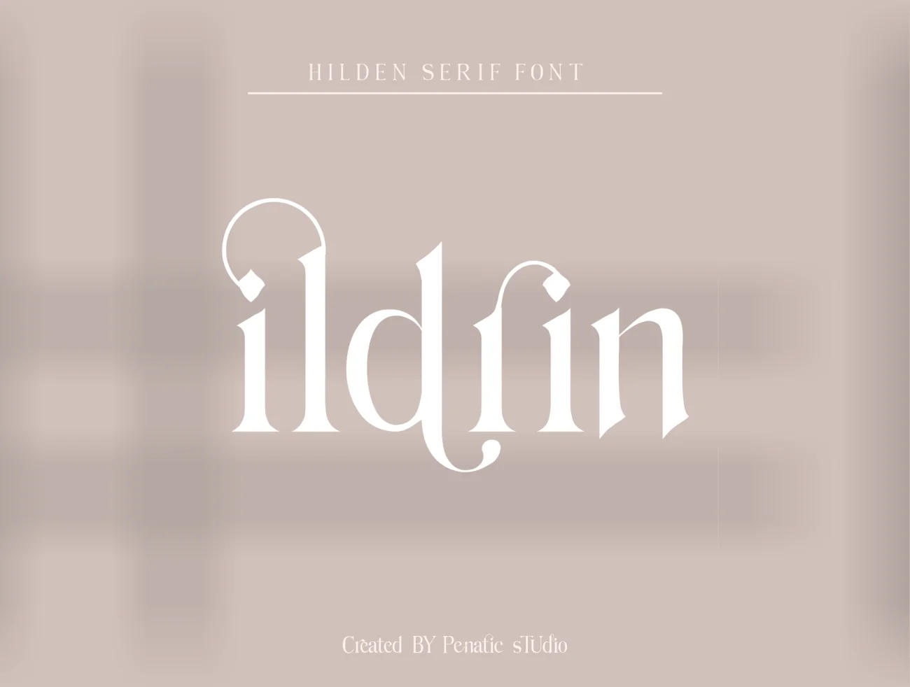 优雅时尚的现代衬线连体英文字体 Hilden – stylish modern serif font插图11