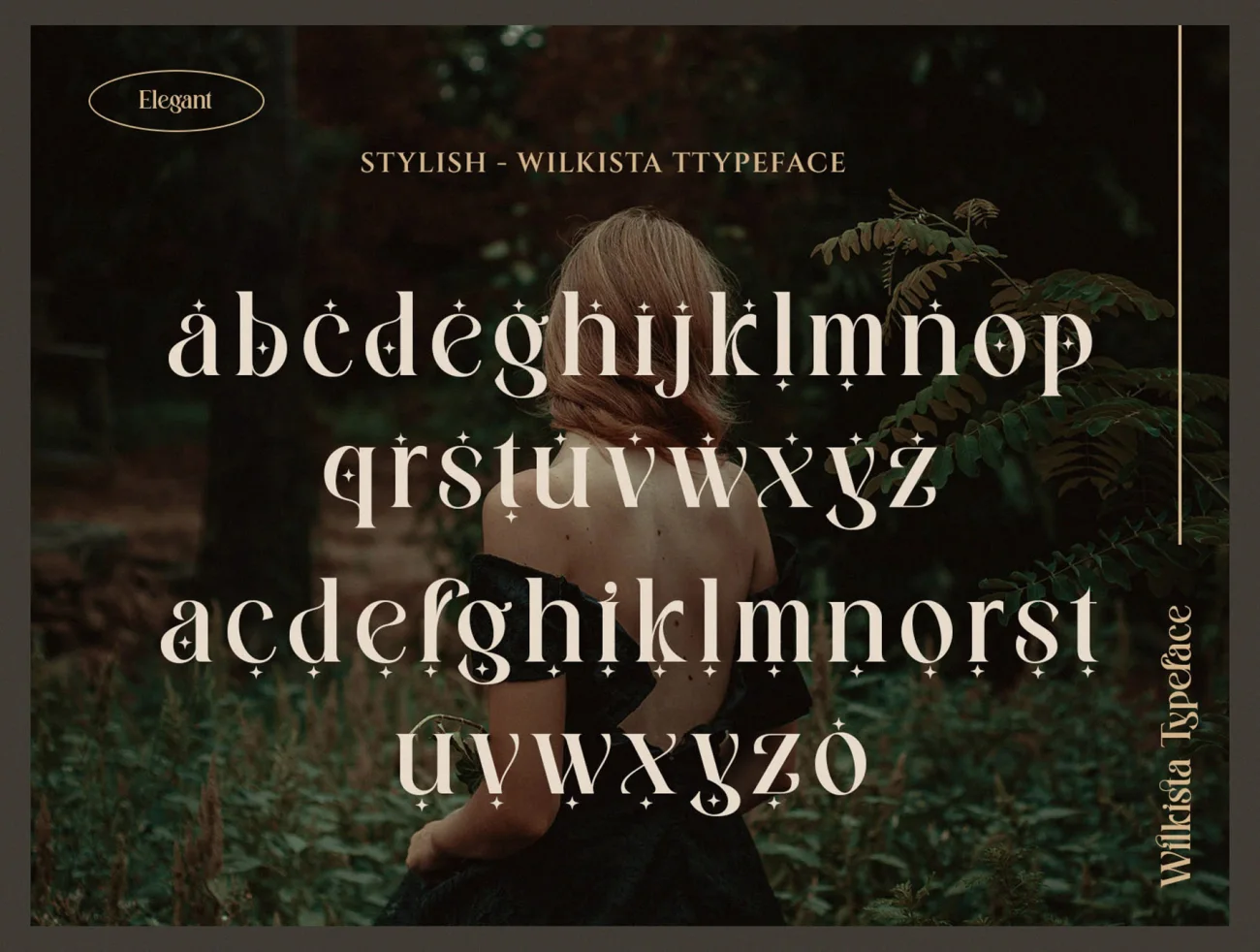 潮流时尚连字英文标题字体 Wilkista – Stylish Ligature Typeface插图21