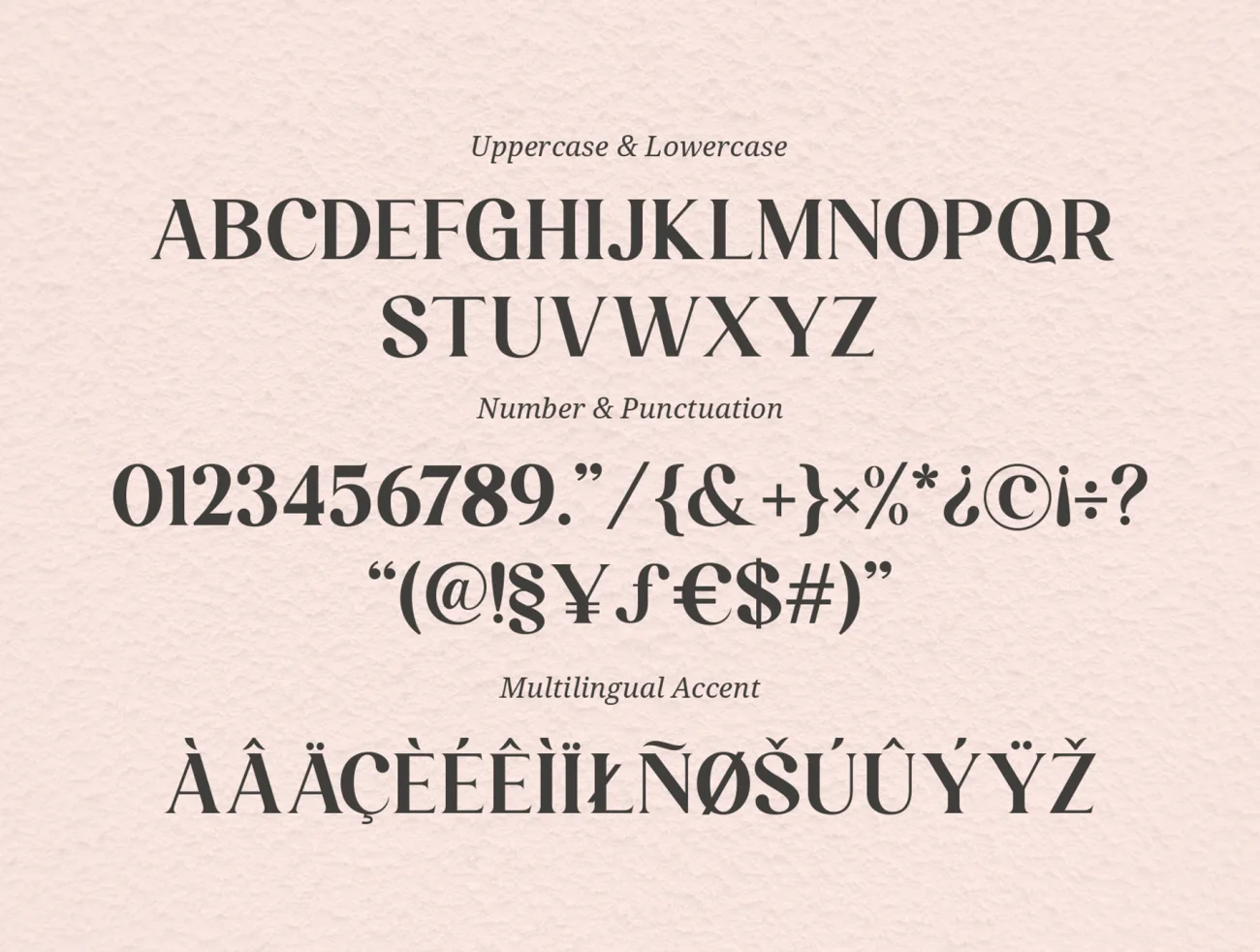 时尚现代连体英文字体 Larissa – Stylish Ligature Typeface插图9