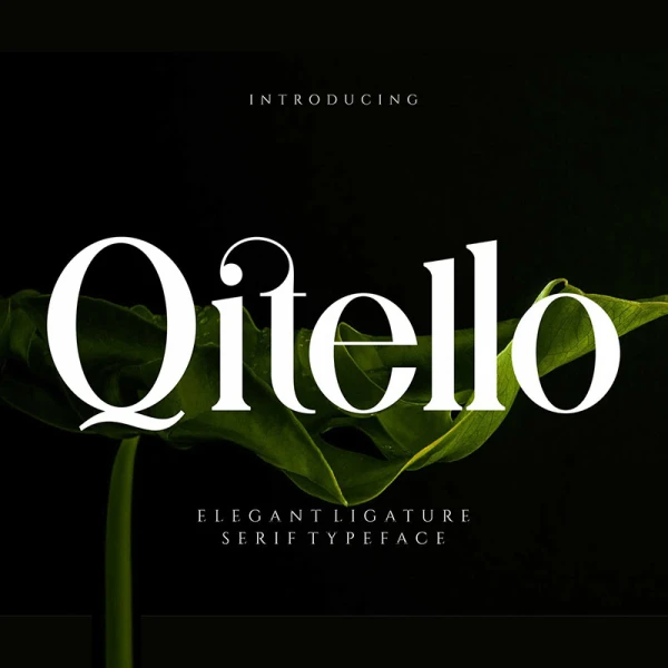 大气优雅连字衬线英文字体 Qitello Ligature Serif Typeface