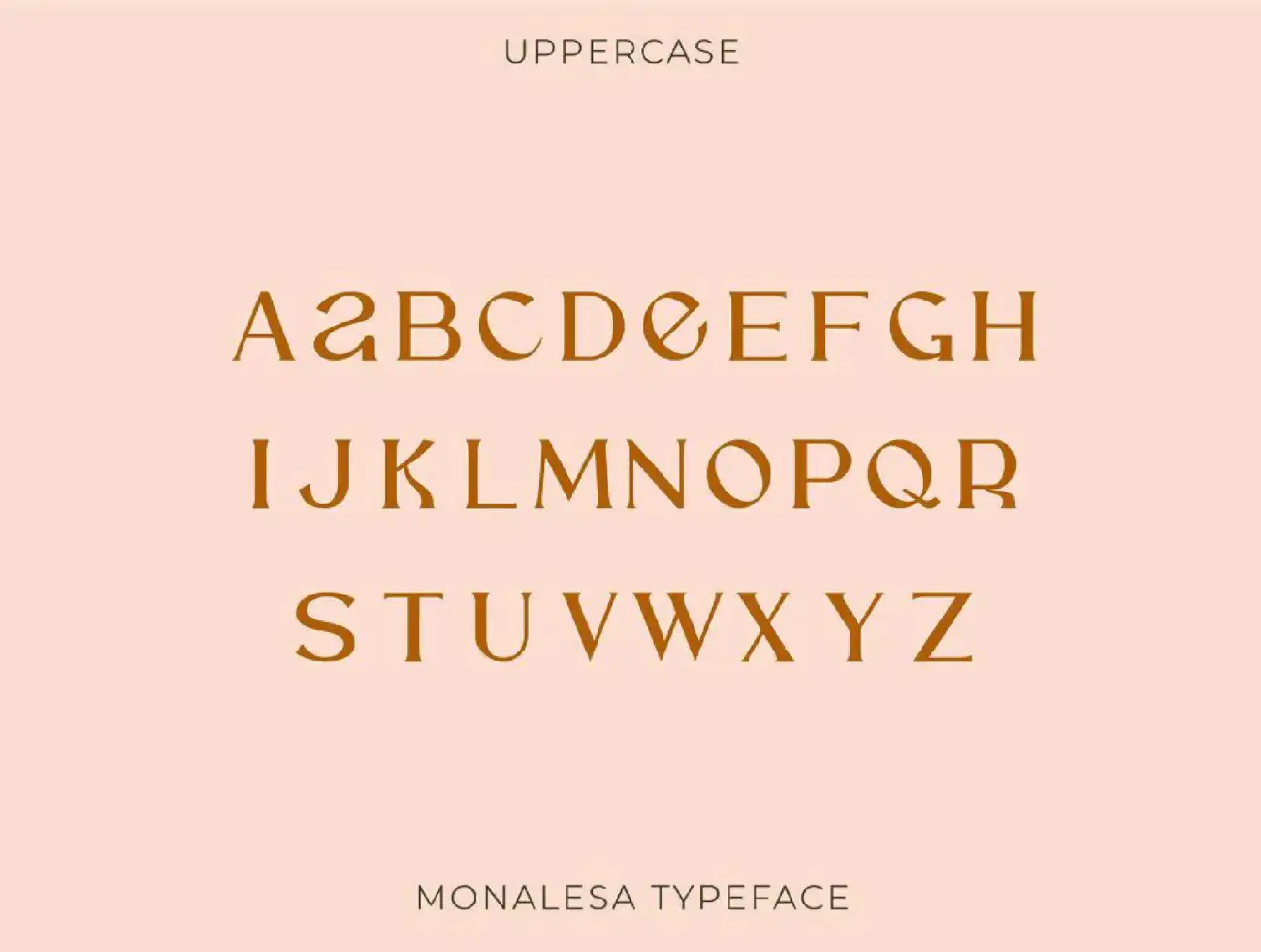 优雅时尚复古连体英文字体 Monalesa – New Vintage Typeface .ttf .otf插图13