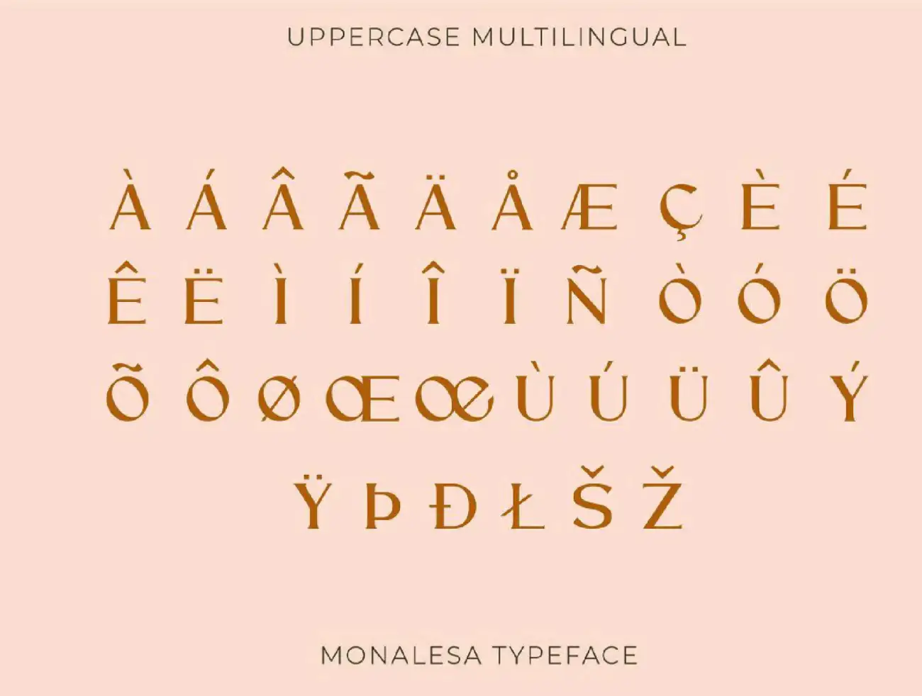 优雅时尚复古连体英文字体 Monalesa – New Vintage Typeface .ttf .otf插图15