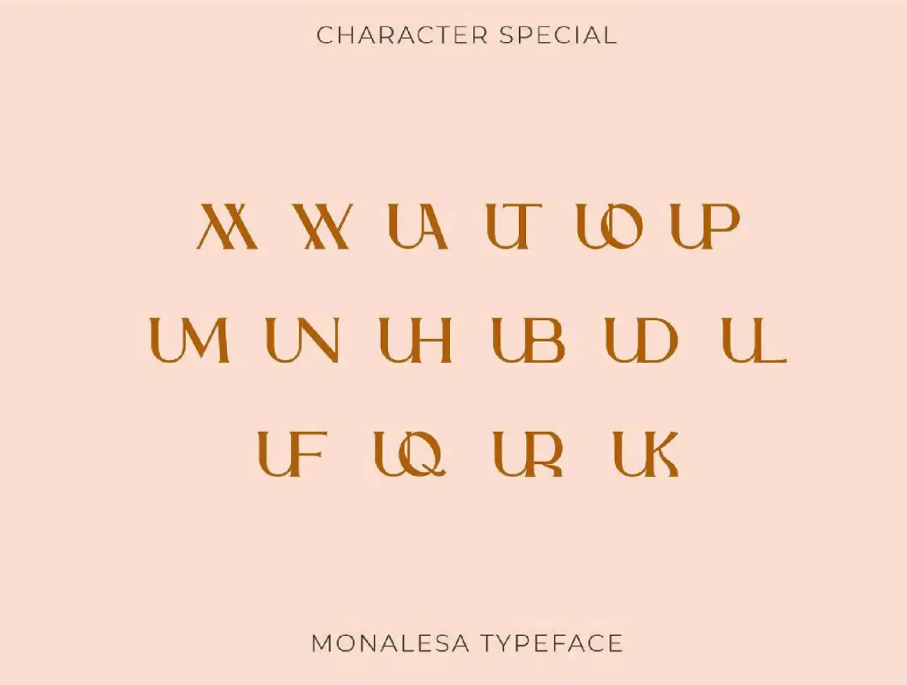 优雅时尚复古连体英文字体 Monalesa – New Vintage Typeface .ttf .otf插图17