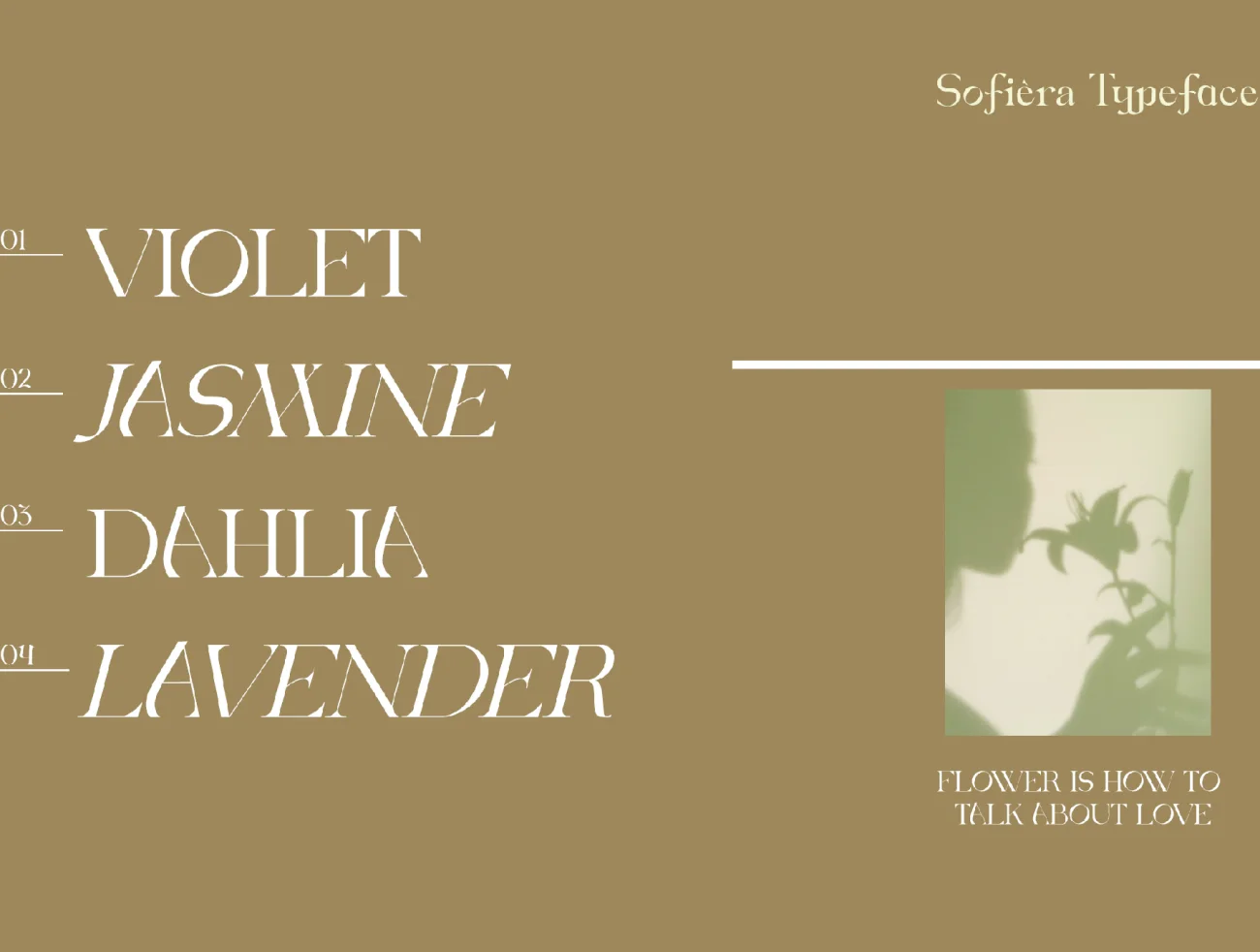 优雅奢华复古英文衬线字体 Sofiera – Luxury Typeface .ttf .otf插图13