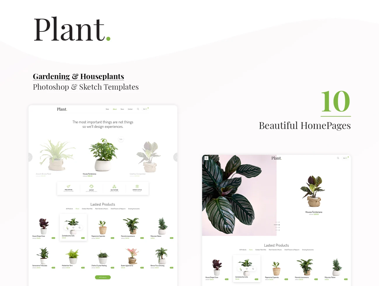 38款植物展示网站模板 Plant – Gardening & Houseplants .sketch .psd插图3