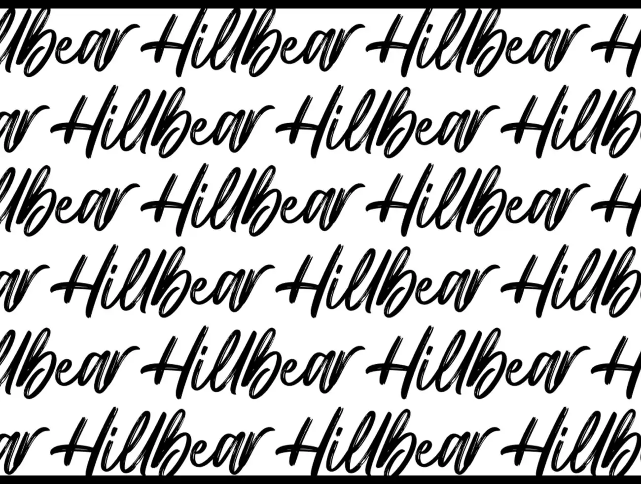 马克笔手写衬线英文艺术字体 Hillbear - Handbrush Script Font .ttf .otf-字体-到位啦UI