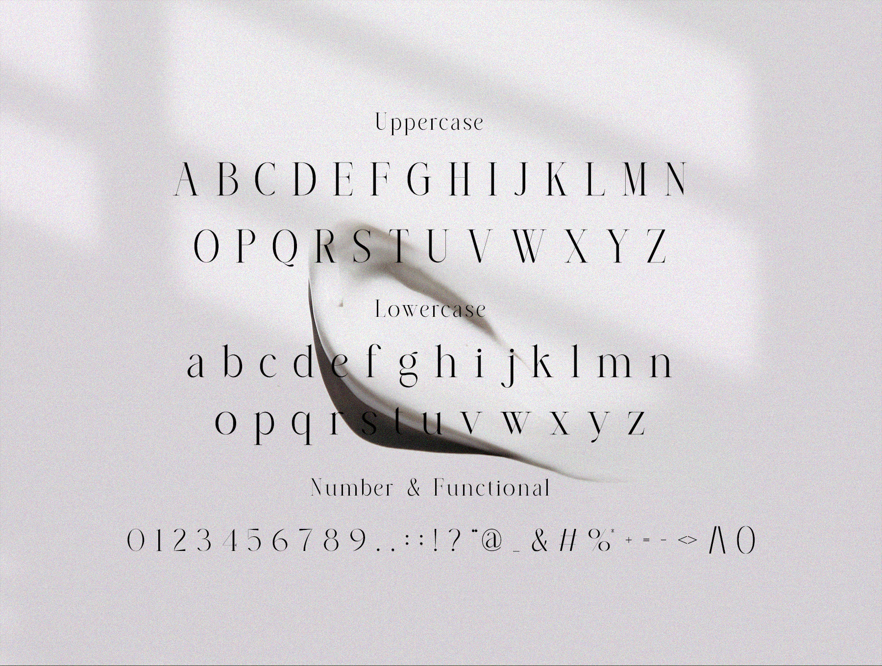 Almera Serif 字体 Almera Serif-字体-到位啦UI